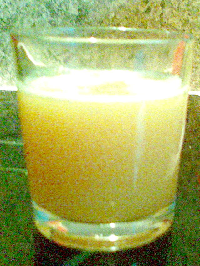 Testbericht Entsafter Kuvings Silent Juicer Küchentipps