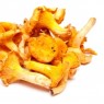 Pfifferlinge