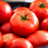 Frische Tomaten im Korb