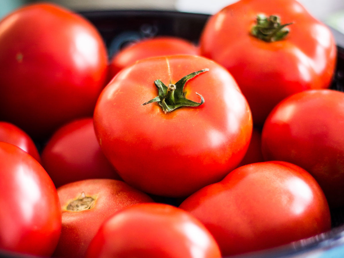 Frische Tomaten im Korb